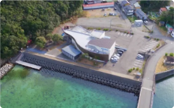 島の小さな水族館
