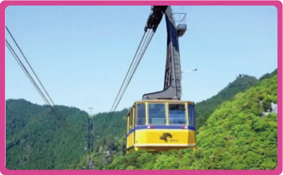 太龍寺ロープウェイ[往復乗車]