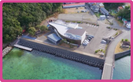 島の小さな水族館[入場]
